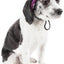 Pet Life ®  'Sea Spot Sun' UV Protectant Adjustable Fashion Mesh Brimmed Dog Hat Cap