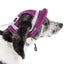 Pet Life ®  'Sea Spot Sun' UV Protectant Adjustable Fashion Mesh Brimmed Dog Hat Cap