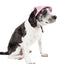 Pet Life ®  'Sea Spot Sun' UV Protectant Adjustable Fashion Mesh Brimmed Dog Hat Cap