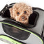 Pet Life ® 'Sky-Max' Airline Approved Designer Sporty Collapsible Travel Fashion Pet Dog Carrier