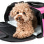 Pet Life ® 'Sky-Max' Airline Approved Designer Sporty Collapsible Travel Fashion Pet Dog Carrier