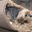 Pet Life ® 'Slip-On' Fashion Designer Polar Fleece Animated Slipper Pet Dog Bed House Shoes