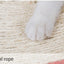 Pet Life ® 'Stick N' Claw' Sisal Rope and Toy Suction Cup Circular Cat Scratcher