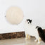 Pet Life ® 'Stick N' Claw' Sisal Rope and Toy Suction Cup Circular Cat Scratcher