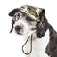 Pet Life ®  'Torrential Downfour' Camouflage UV Protectant Adjustable Fashion Dog Hat Cap