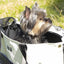 Pet Life ® 'Tote n' Boater' Trendy Spotted Designer Fashion Travel Pet Dog Carrier