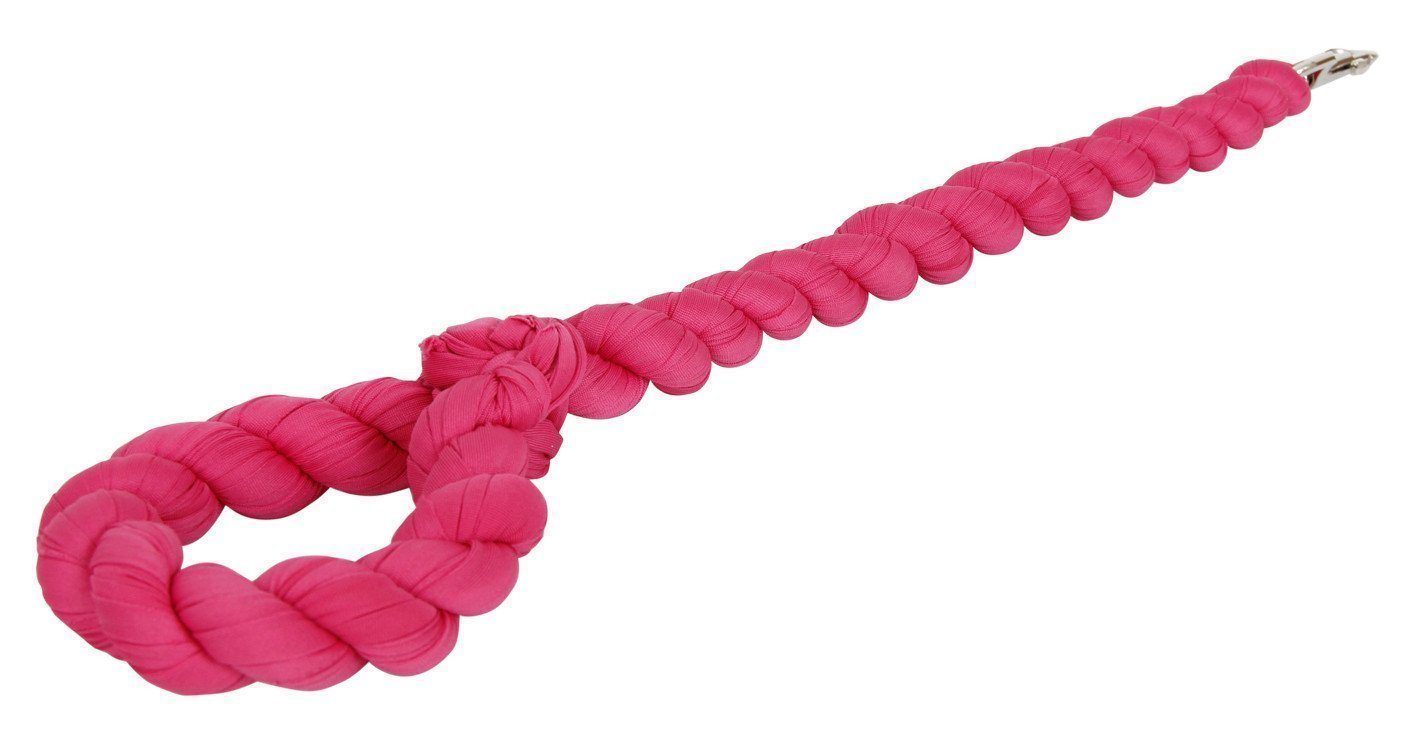 Pet Life ® 'Tough-Tugger' Industrial-Strength Shock Absorption Woven Pet Dog Leash