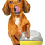 Pet Life ® 'Tumbowl' Slow Feeding Pet Bowl