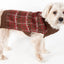 Pet Life ® Vintage Symphony Static Fashion Knitted Designer Dog Sweater