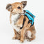 Pet Life ® 'Waggler Hobbler' Large-Pocketed Animated Fashion Dog Harness Backpack