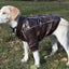Pet Life ® 'Wuff-Rider' Fashion Suede Stitched Dog Jacket