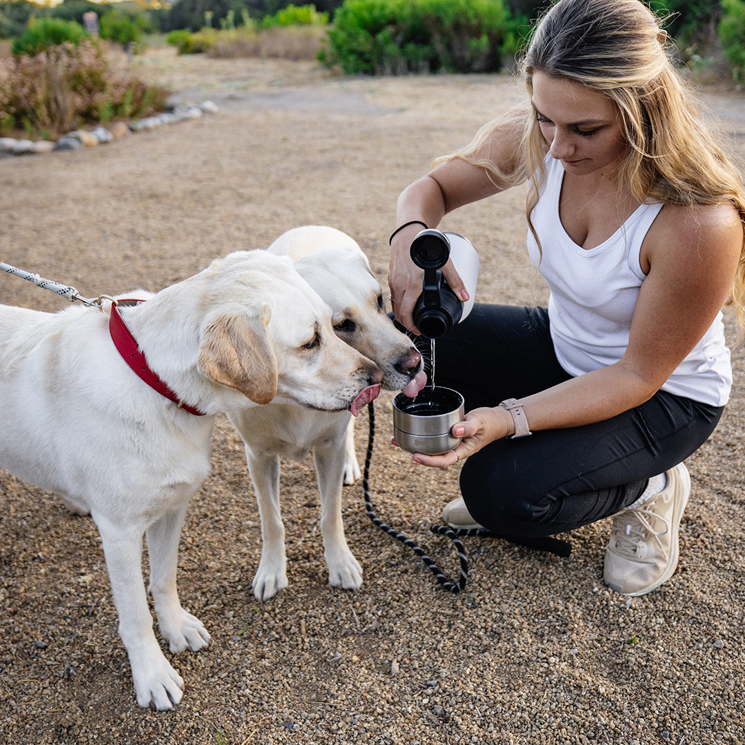 HydroPet® 32 oz Portable Dog Water Bottle – Stainless Steel Travel Flask with 2 Detachable Bowls, Carry Bag & Strap