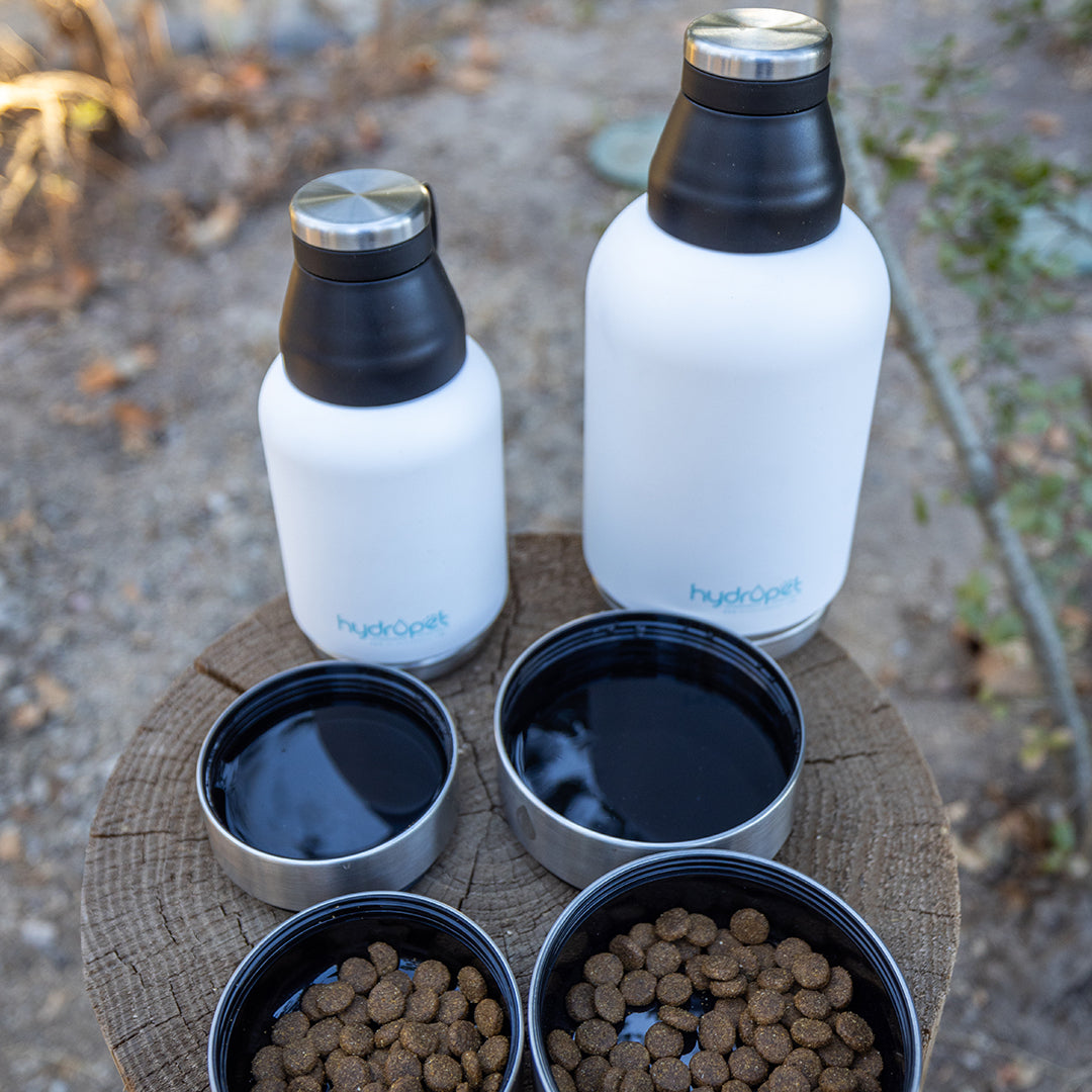 HydroPet® 32 oz Portable Dog Water Bottle – Stainless Steel Travel Flask with 2 Detachable Bowls, Carry Bag & Strap