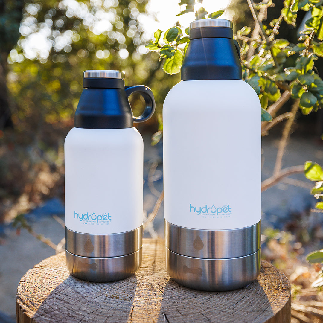 HydroPet® 32 oz Portable Dog Water Bottle – Stainless Steel Travel Flask with 2 Detachable Bowls, Carry Bag & Strap
