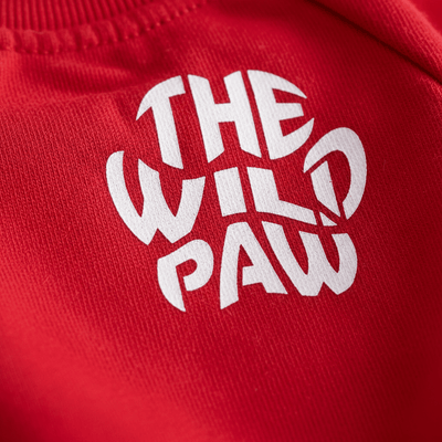 Arctic Sweatshirt