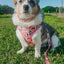 Dog Adjustable Harness - STAR WARS™ Princess Leia