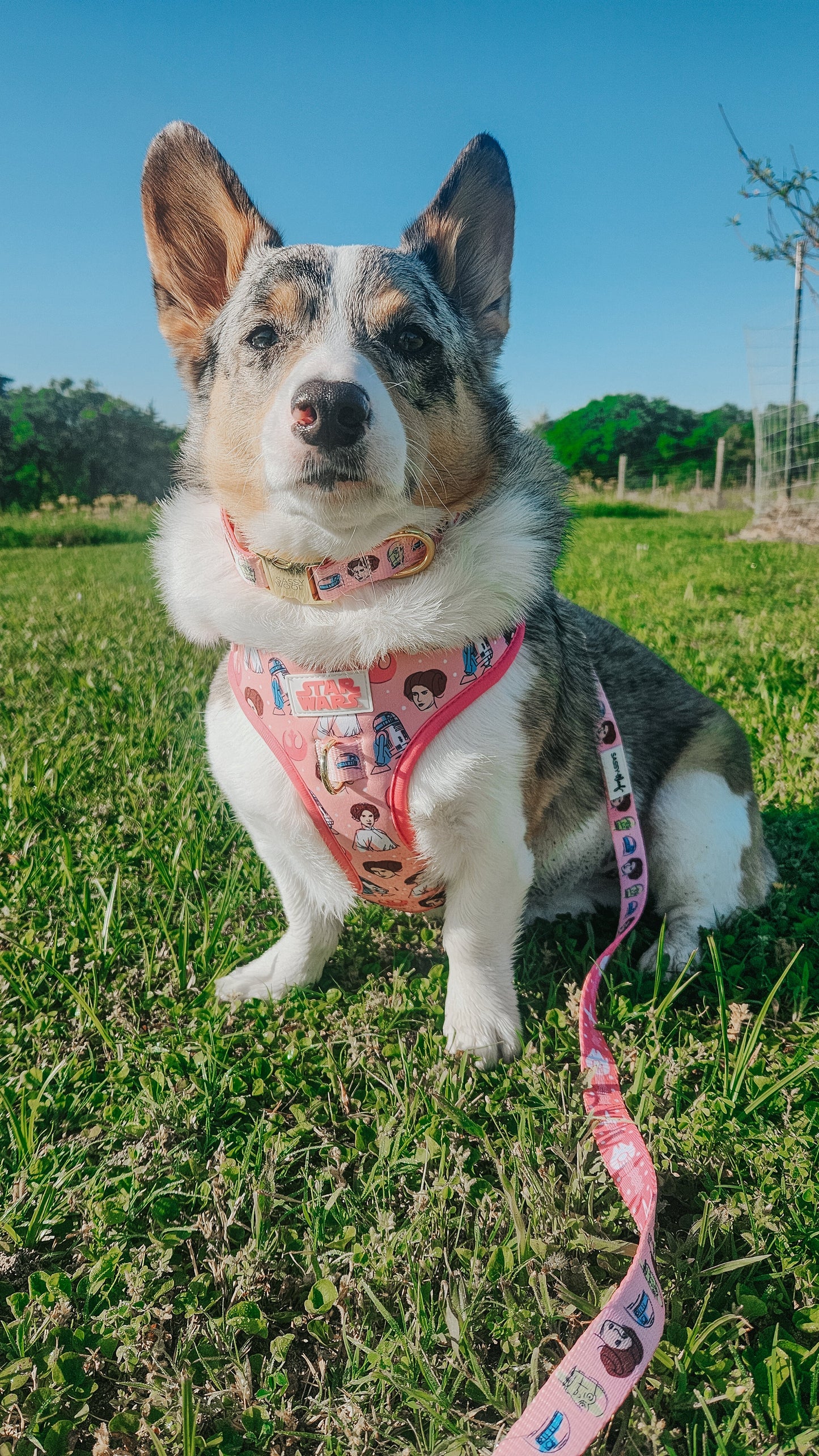 Dog Adjustable Harness - STAR WARS™ Princess Leia