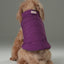 Reversible Dog Vest Jacket - Purple Caramel