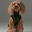 Pretzel Pet Sweater - Olive Green