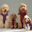 Reversible Dog Vest Jacket -  Red Brown