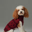 Pretzel Pet Sweater - Burgundy Red