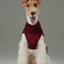 Pretzel Pet Sweater - Burgundy Red