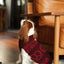 Pretzel Pet Sweater - Burgundy Red