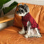 Pretzel Pet Sweater - Burgundy Red