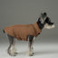 Reversible Dog Vest Jacket -  Red Brown