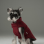Reversible Dog Vest Jacket -  Red Brown