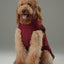 Reversible Dog Vest Jacket -  Red Brown