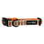 Dog Collar - Pie There!