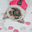 Dog Adjustable Harness - Neon Pink