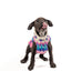 Pink Ski Bum Dog Sweater