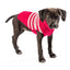 Katie Alpaca Stripe Dog Sweater