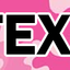 Personalized Pink Camo Dog Collar