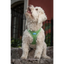 Plush Step In Air Mesh Harness - Grass Green