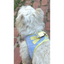 Plush Step In Harness Spring Plaid