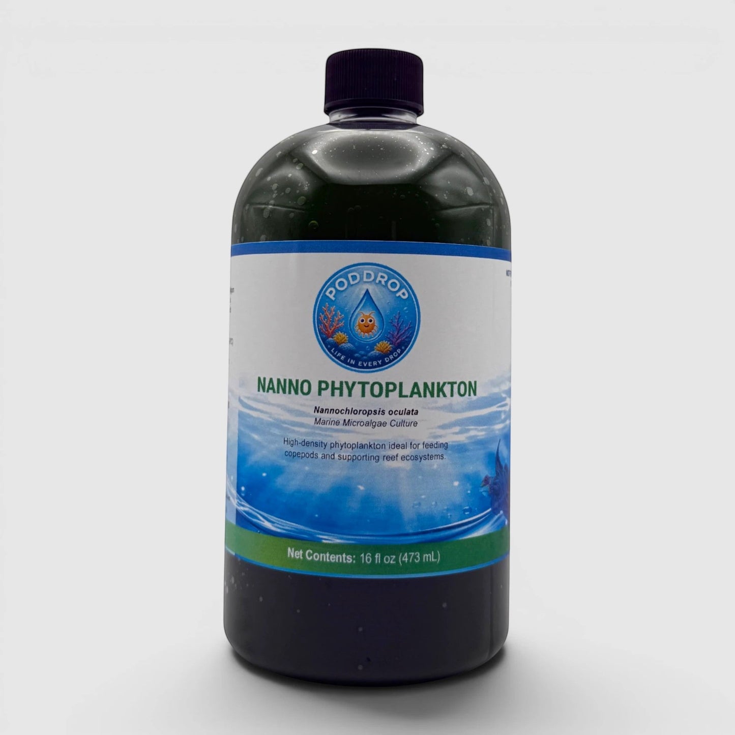 Nannochloropsis oculata Phytoplankton Culture