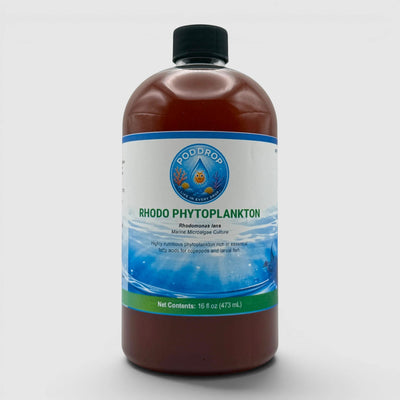 Rhodomonas lens Phytoplankton Culture