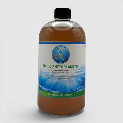 Rhodomonas salina Phytoplankton Culture