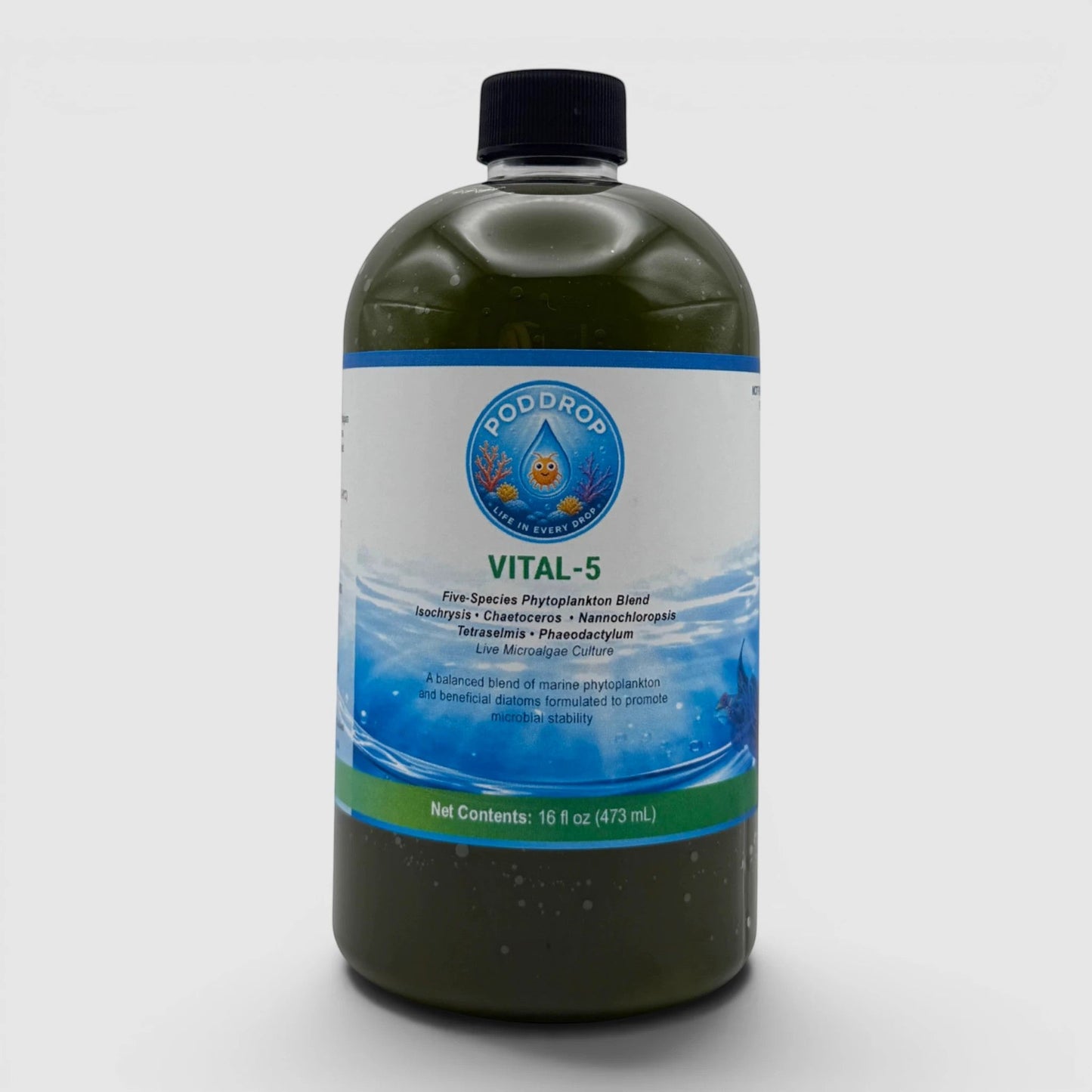 VITAL-5 | 5-species Phytoplankton Culture Blend