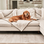 PupProtector™ Summer Short Fur Waterproof Throw Blanket - Polar White