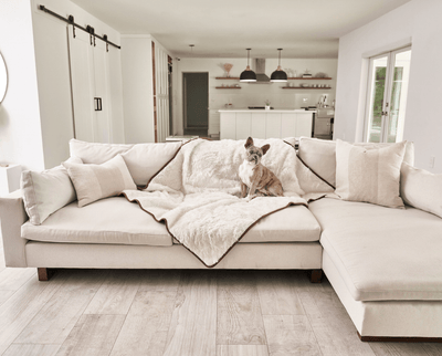 PupProtector™ Summer Short Fur Waterproof Throw Blanket - Polar White
