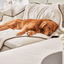 PupProtector™ Summer Short Fur Waterproof Throw Blanket - Polar White