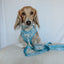 Dog Leash - Cinnamoroll™