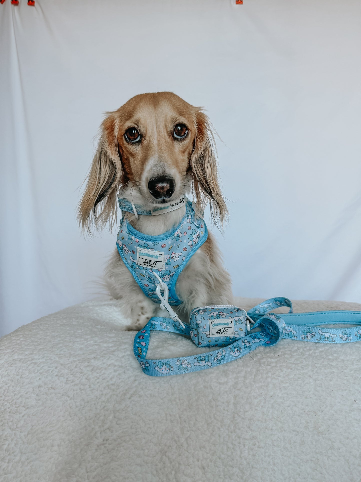 Dog Collar - Cinnamoroll™