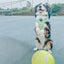 Dog Collar - Serving Up Sass