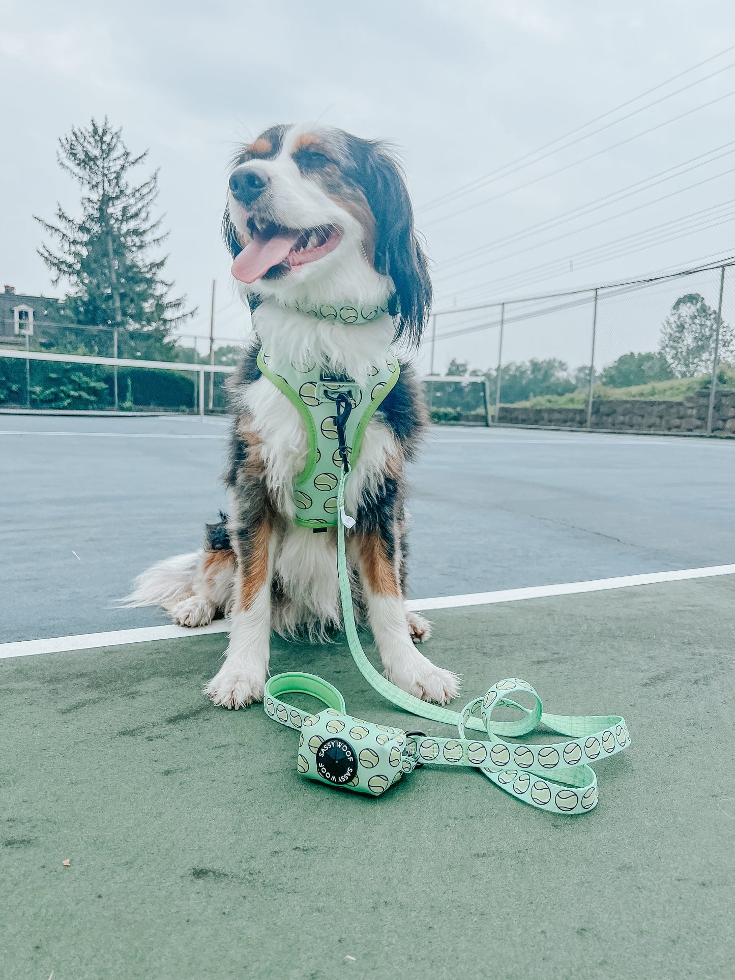 Dog Reversible Harness - Serving Up Sass