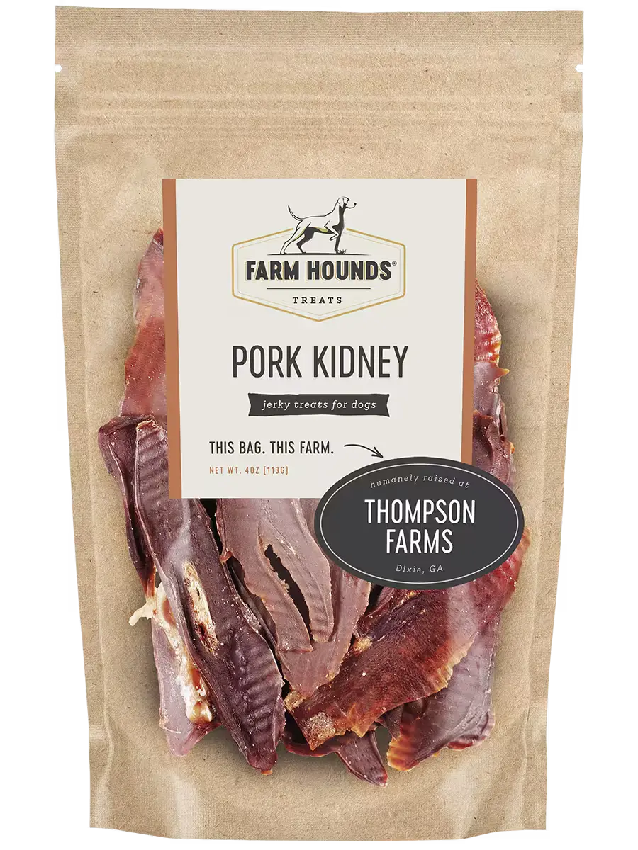 Pork Kidney